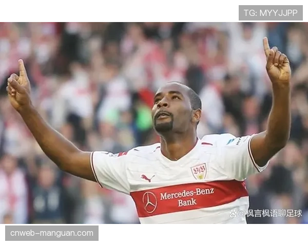 斯图加特伤病影响阵容深度,霍芬海姆战术灵活性占优 斯图加特伤病影响阵容深度,霍芬海姆战术灵活性占优