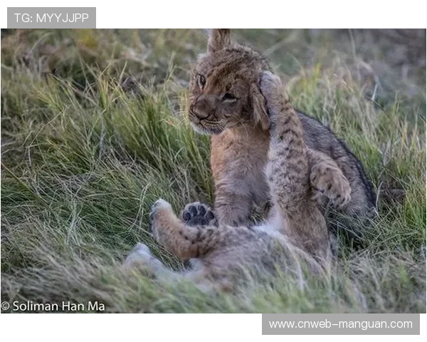 深度报道：国际足联对撒哈拉以南非洲地区青训营的系统性调查